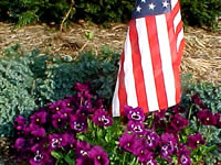 Remember our troops.
