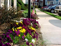 Neighborhood.