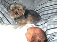 The little nanny...