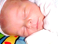 20 March 2003