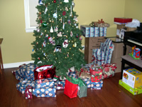 The big tree looks so small in the new house...
