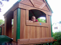 Backyard Swingset