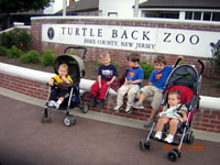 Turtle Back Zoo