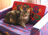 Kelly Kat loves the Wiggles couch.