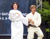 princess leia & luke skywalker