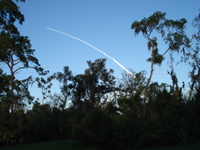 We viewed the NASA shuttle from Sheri's backyard!