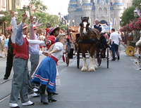 The Clydesdales.