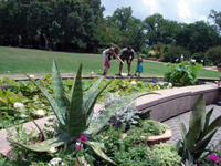 Atlanta's Botanical Garden.