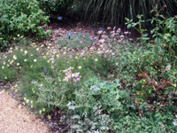 Lovely botanics.