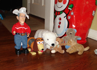 Tommy takes a picture of some toys.