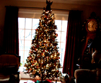 Merry Christmas!