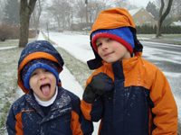 The new snow is delicious.