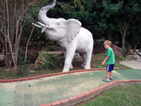 Competing with an elephant.