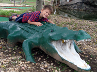 Wrestling with an alligator.