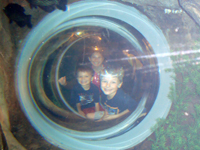 Underwater shot...