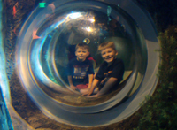 Boys in a bubble...