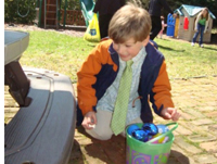 Tommy hunts for eggs.