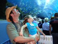 The bottom-feeding fish are all around.