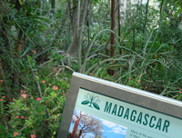 The original Madagascar.