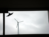 Windmill power at Liberty.