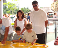Building Lego cars.