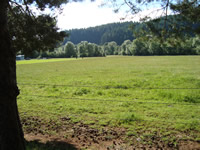 The farm.
