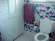 the loo