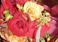 Roses everywhere!