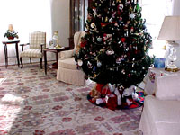 Santa was here!
