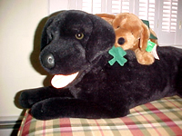 Licorice and Cally await the baby!