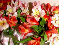 from the garden