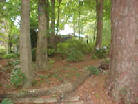 View from the front