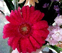 Flowers for the table.