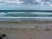 The Beach