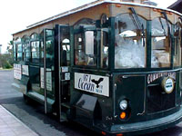The Transport