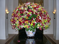 Gorgeous display.