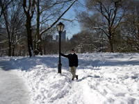 Lighting up Central Park