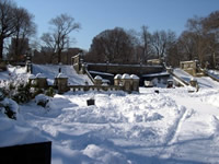 Central Park under 27" of snow!