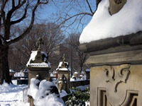 Central Park under 27" of snow!