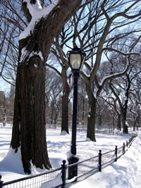 Central Park under 27" of snow!