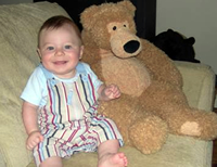 The bear is getting smaller!