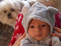 Elmo loves the little bunny.