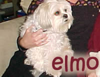 Elmo getting cuddled...