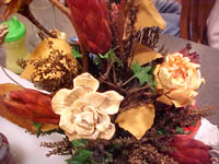 Fall colors