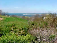 Wildlife habitat