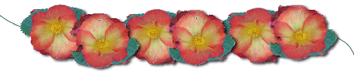 begonia_tube_2.gif (25715 bytes)