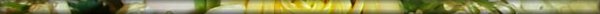wed_flower_horz_024f.jpg (2990 bytes)