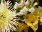 weddingflower_017f.gif (17818 bytes)