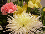 weddingflower_023f.gif (17327 bytes)