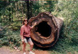 Rosie in Oregon